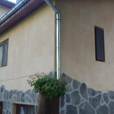 Pensiune Stepet *